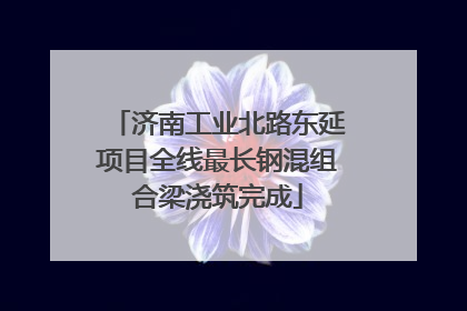济南工业北路东延项目全线最长钢混组合梁浇筑完成