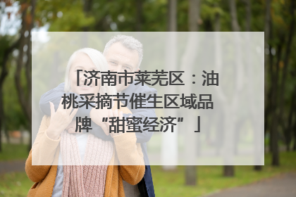 济南市莱芜区：油桃采摘节催生区域品牌“甜蜜经济”