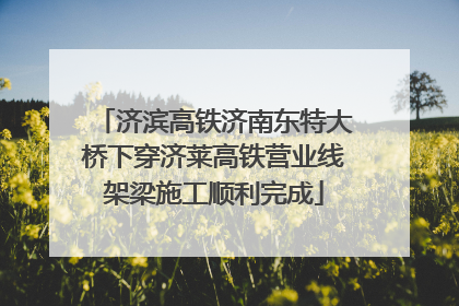 济滨高铁济南东特大桥下穿济莱高铁营业线架梁施工顺利完成