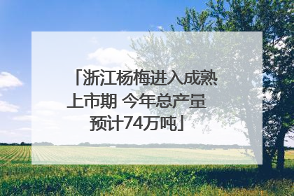 浙江杨梅进入成熟上市期 今年总产量预计74万吨
