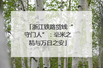 浙江铁路货线“守门人”：毫米之精与万日之安