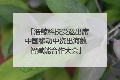 浩鲸科技受邀出席中国移动中资出海数智赋能合作大会