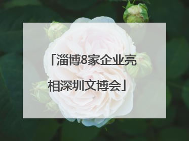 淄博8家企业亮相深圳文博会