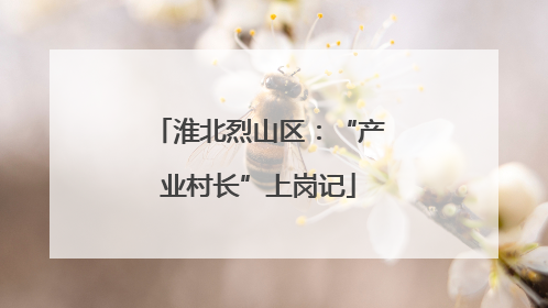 淮北烈山区：“产业村长”上岗记