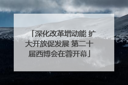 深化改革增动能 扩大开放促发展 第二十届西博会在蓉开幕