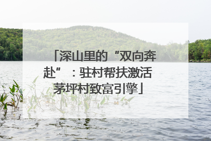 深山里的“双向奔赴”：驻村帮扶激活茅坪村致富引擎