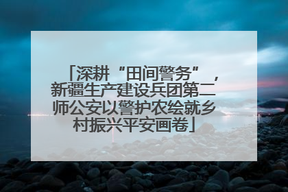 深耕“田间警务”，新疆生产建设兵团第二师公安以警护农绘就乡村振兴平安画卷
