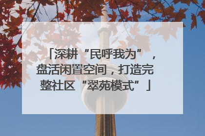 深耕“民呼我为”，盘活闲置空间，打造完整社区“翠苑模式”