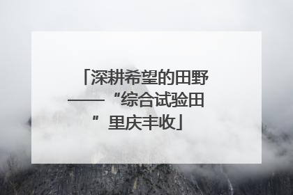 深耕希望的田野——“综合试验田”里庆丰收