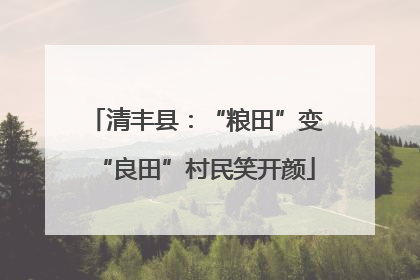 清丰县：“粮田”变“良田”村民笑开颜