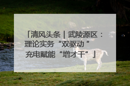 清风头条｜武陵源区：理论实务“双驱动 ” 充电赋能“增才干”