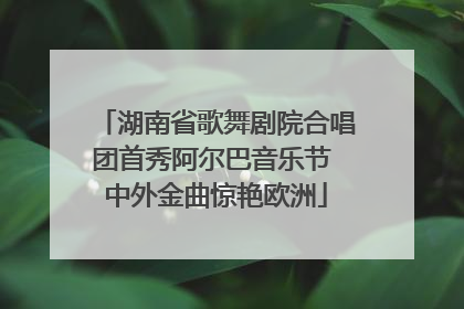 湖南省歌舞剧院合唱团首秀阿尔巴音乐节 中外金曲惊艳欧洲
