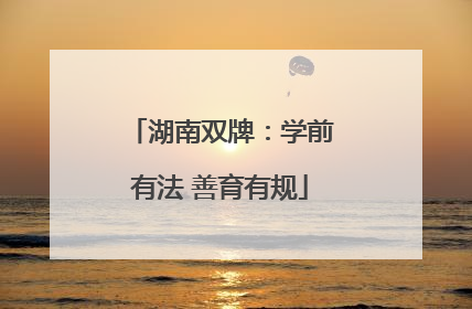 湖南双牌：学前有法 善育有规