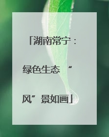 湖南常宁：绿色生态 “风”景如画