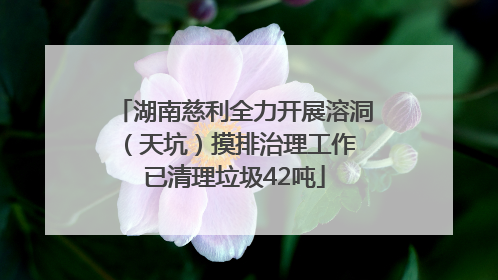 湖南慈利全力开展溶洞（天坑）摸排治理工作 已清理垃圾42吨