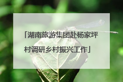 湖南旅游集团赴杨家坪村调研乡村振兴工作