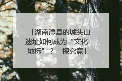湖南澧县的城头山遗址如何成为“文化地标”？一探究竟