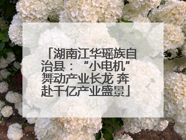 湖南江华瑶族自治县：“小电机”舞动产业长龙 奔赴千亿产业盛景