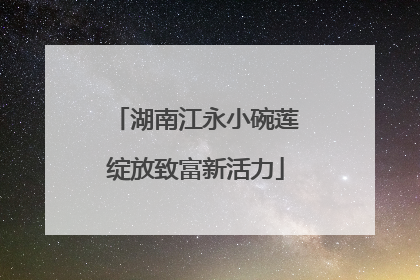 湖南江永小碗莲绽放致富新活力