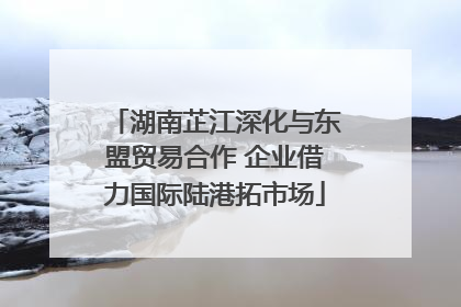 湖南芷江深化与东盟贸易合作 企业借力国际陆港拓市场
