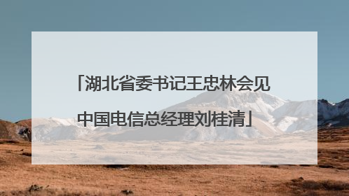 湖北省委书记王忠林会见中国电信总经理刘桂清