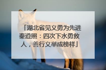 湖北省见义勇为先进秦遵照：四次下水勇救人，善行义举成榜样