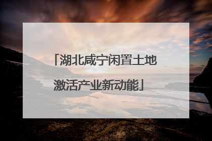 湖北咸宁闲置土地激活产业新动能