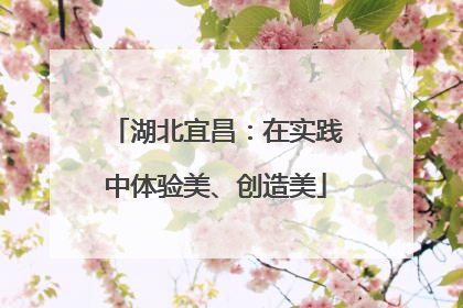 湖北宜昌：在实践中体验美、创造美