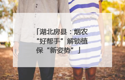 湖北房县：烟农“好帮手”解锁植保“新姿势”
