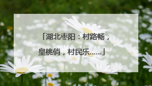 湖北枣阳：村路畅，皇桃俏，村民乐……