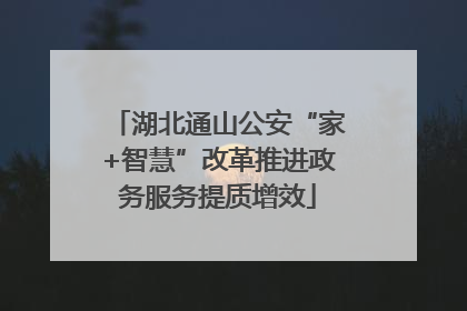 湖北通山公安“家+智慧”改革推进政务服务提质增效