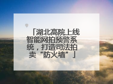 湖北高院上线智能网拍预警系统，打造司法拍卖“防火墙”
