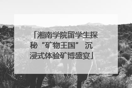 湘南学院留学生探秘“矿物王国” 沉浸式体验矿博盛宴
