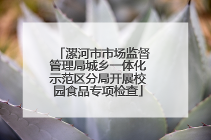 漯河市市场监督管理局城乡一体化示范区分局开展校园食品专项检查