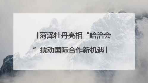 菏泽牡丹亮相“哈洽会”撬动国际合作新机遇