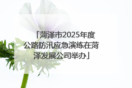 菏泽市2025年度公路防汛应急演练在菏泽发展公司举办