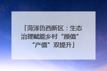 菏泽鲁西新区：生态治理赋能乡村“颜值”“产值”双提升