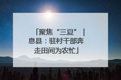 聚焦“三夏”｜息县：驻村干部奔走田间为农忙