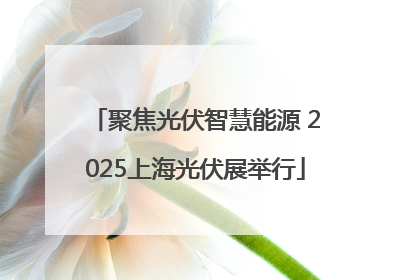 聚焦光伏智慧能源 2025上海光伏展举行