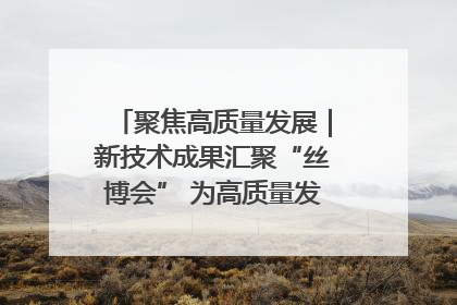 聚焦高质量发展｜新技术成果汇聚“丝博会” 为高质量发展注入新动能