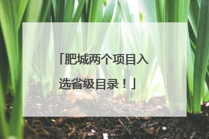 肥城两个项目入选省级目录！