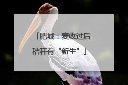 肥城：麦收过后秸秆有“新生”