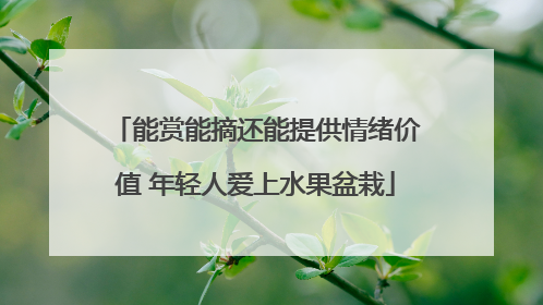 能赏能摘还能提供情绪价值 年轻人爱上水果盆栽