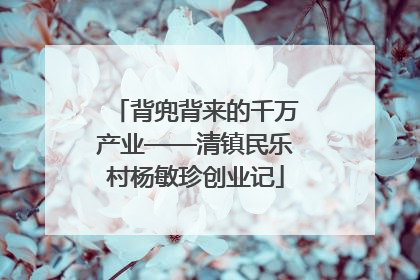 背兜背来的千万产业——清镇民乐村杨敏珍创业记