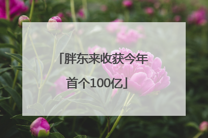 胖东来收获今年首个100亿