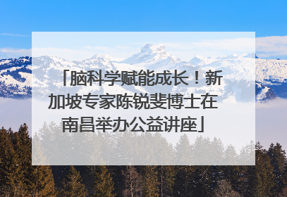 脑科学赋能成长！新加坡专家陈锐斐博士在南昌举办公益讲座