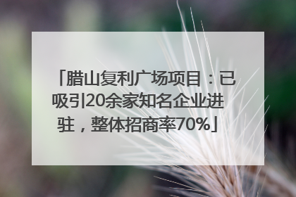 腊山复利广场项目：已吸引20余家知名企业进驻，整体招商率70%