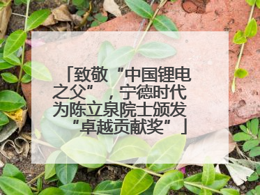 致敬“中国锂电之父”，宁德时代为陈立泉院士颁发“卓越贡献奖”