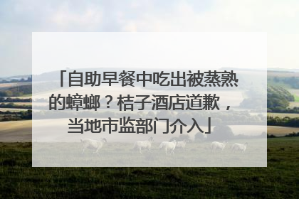 自助早餐中吃出被蒸熟的蟑螂？桔子酒店道歉，当地市监部门介入