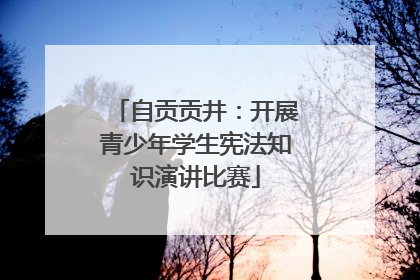 自贡贡井：开展青少年学生宪法知识演讲比赛